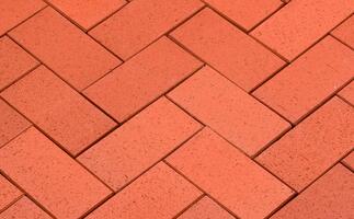  Тротуарная клинкерная брусчатка Penter Baltic Klinker Pavers Classic, 200*100*45 мм: внешний вид